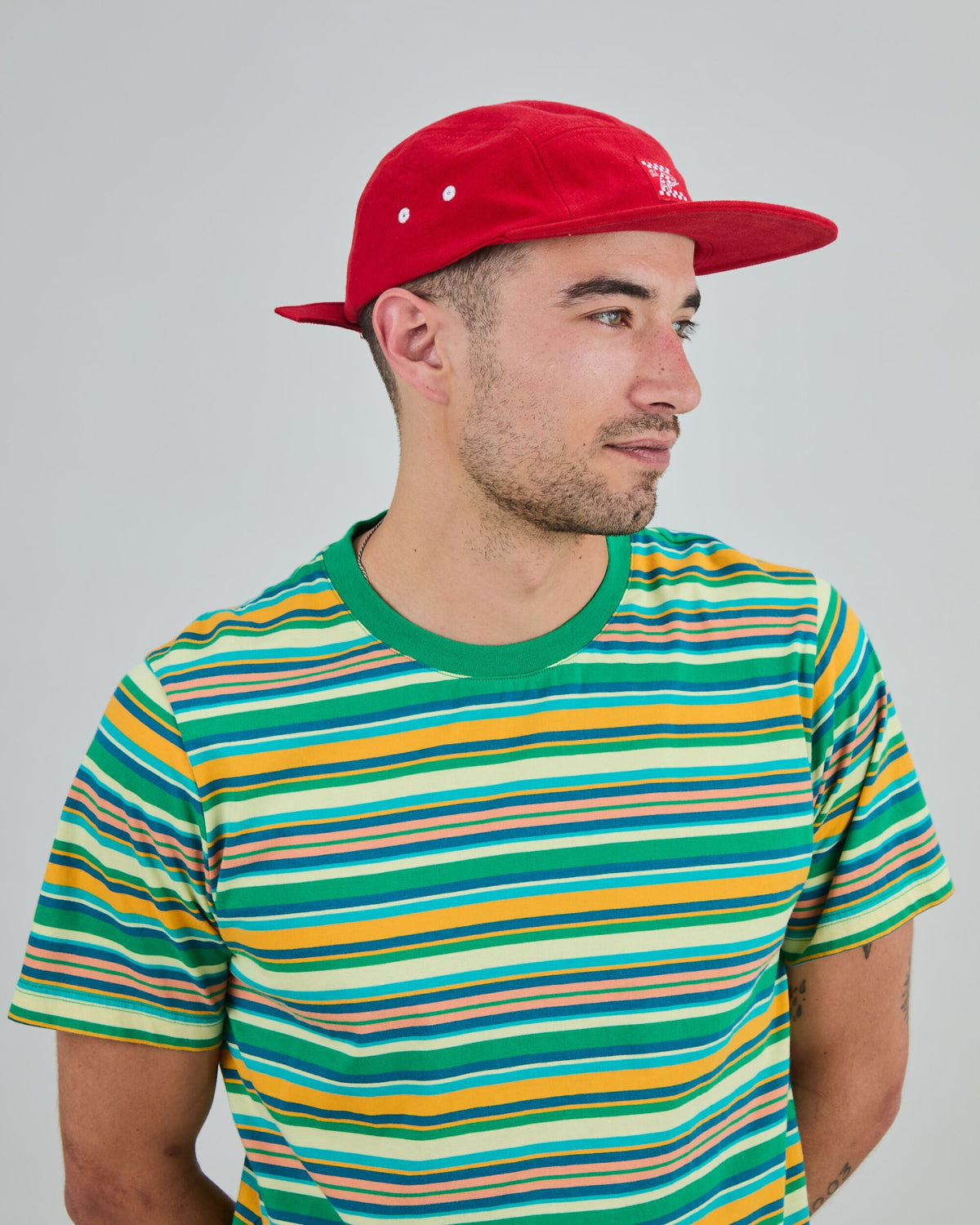 Stripes Regular T-Shirt Green